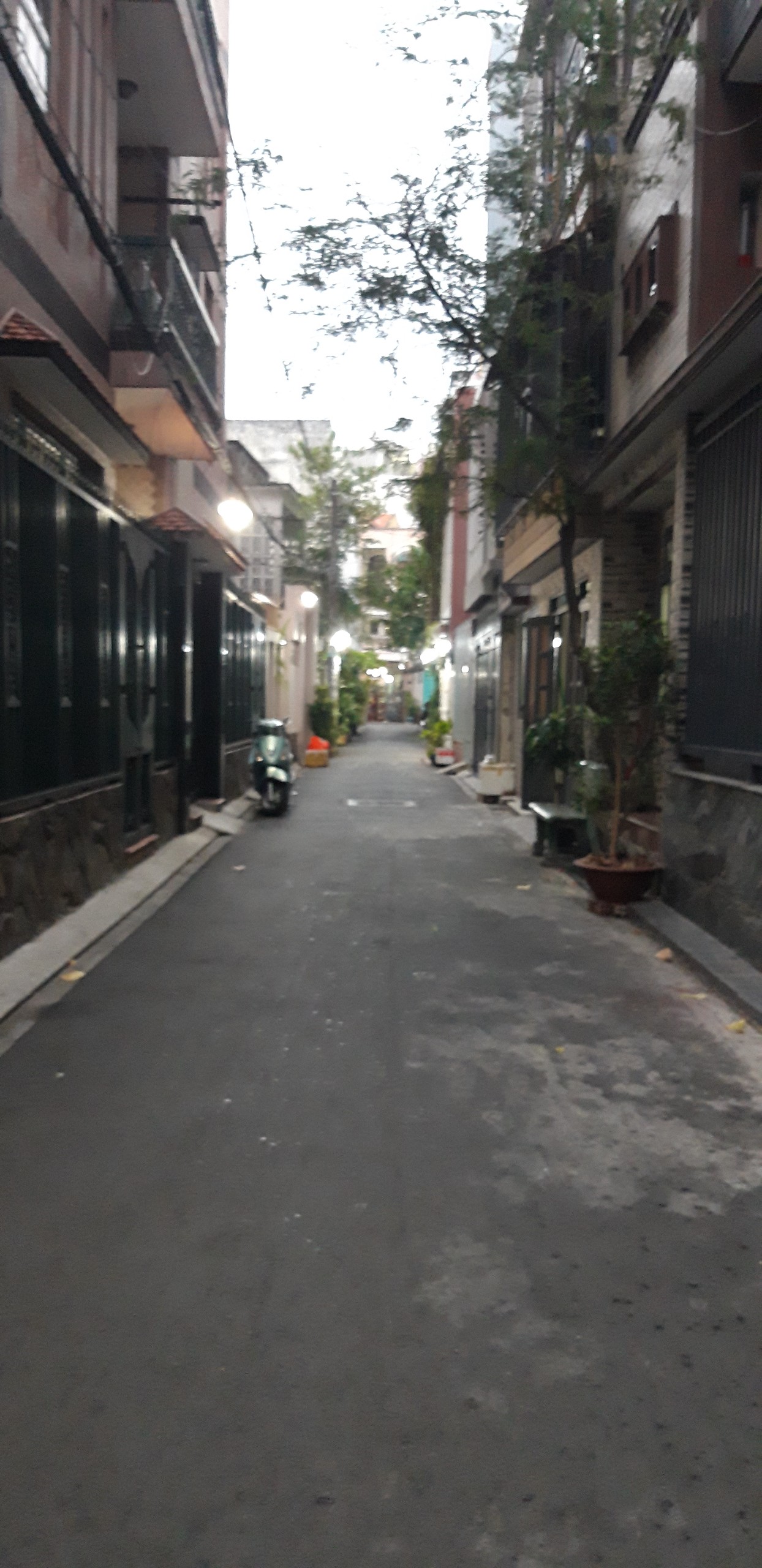 Nhà Hẽm Lạc Long Quân, 3.8x13.5m, 51m2 3L ST P.8, Q.Tân Bình. Giá 5.9 Tỷ