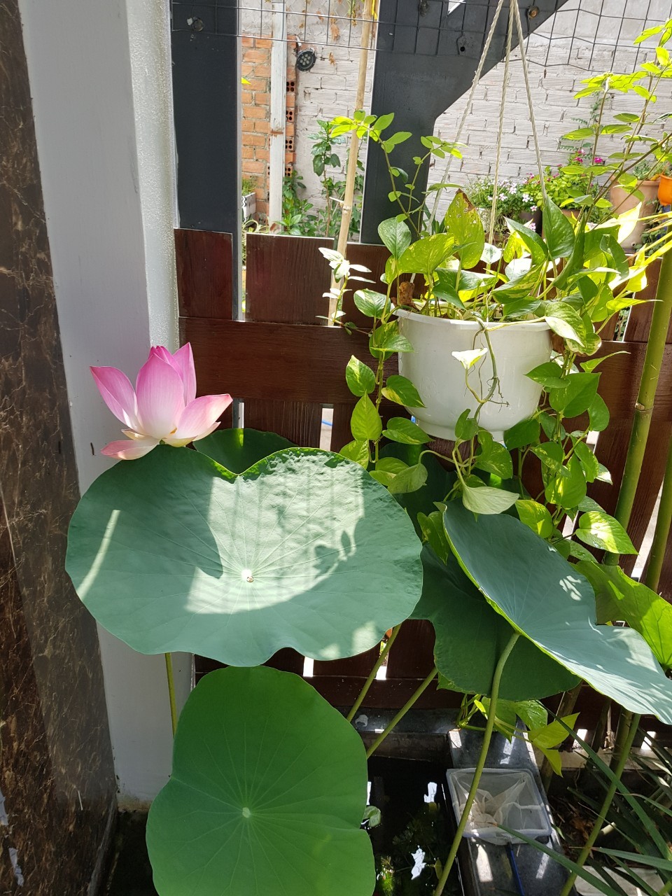 Khu dân cư him lam, Phường Linh chiểu, Thủ đức Đường số 88m2