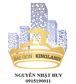 Bán gấp biệt thự khu Bình Phú, sát đường số 23, ngang tận 8m, 4 lầu, nội thất nhập khẩu, chỉ 12 tỷ, Q.6, LH: 0915190011