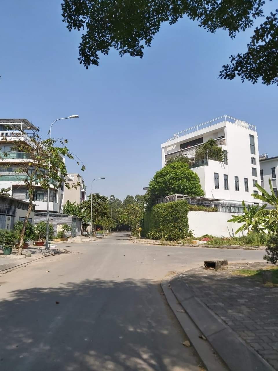 Bán đất biệt thự tại kdc T30, Nguyễn Tri Phương - Phạm hùng nd, Bình Chánh, dt 200m2  giá 52tr/m²