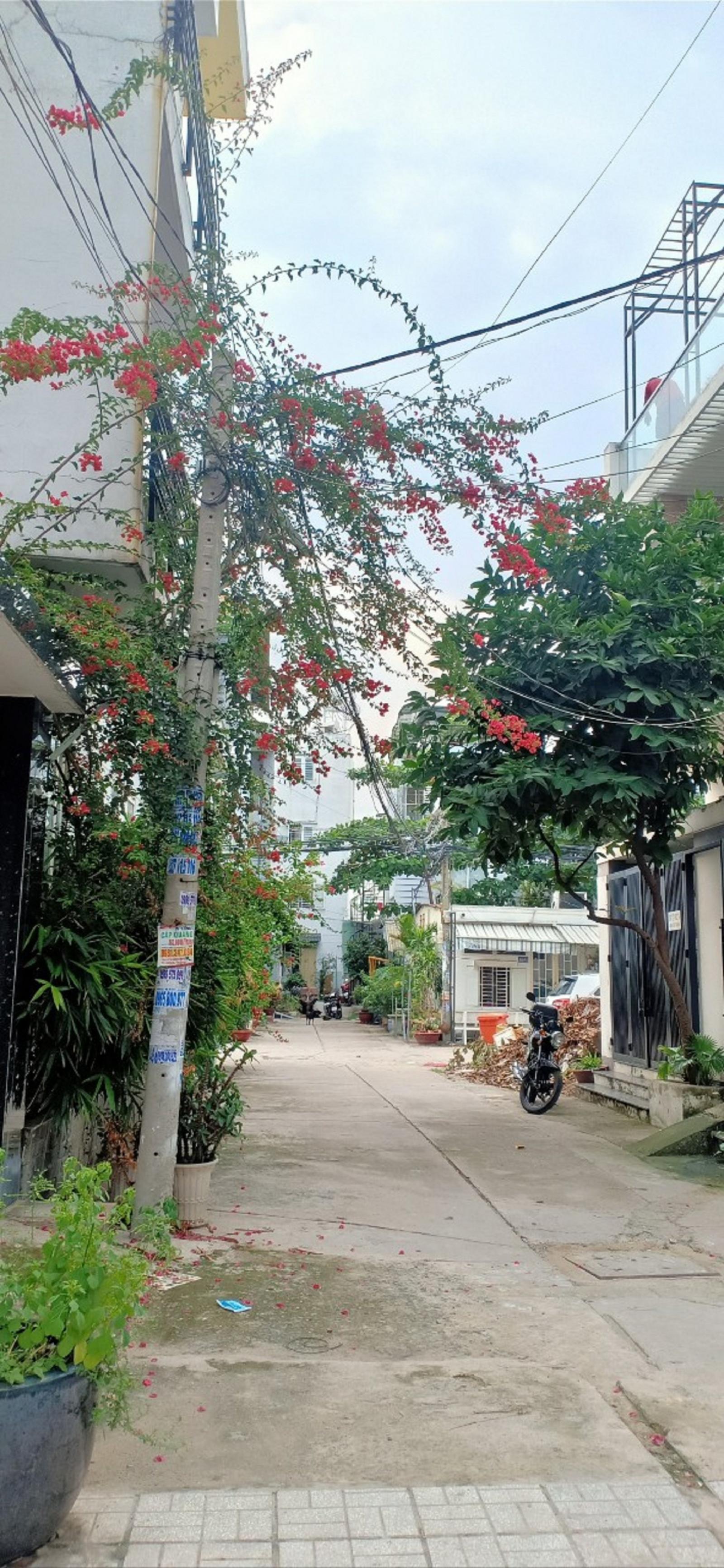 Bán nhà phố đường Xe Hơi Đường Bùi Tư Toàn, Phường An Lạc Bình Tân DT 8x16m 1T 2L