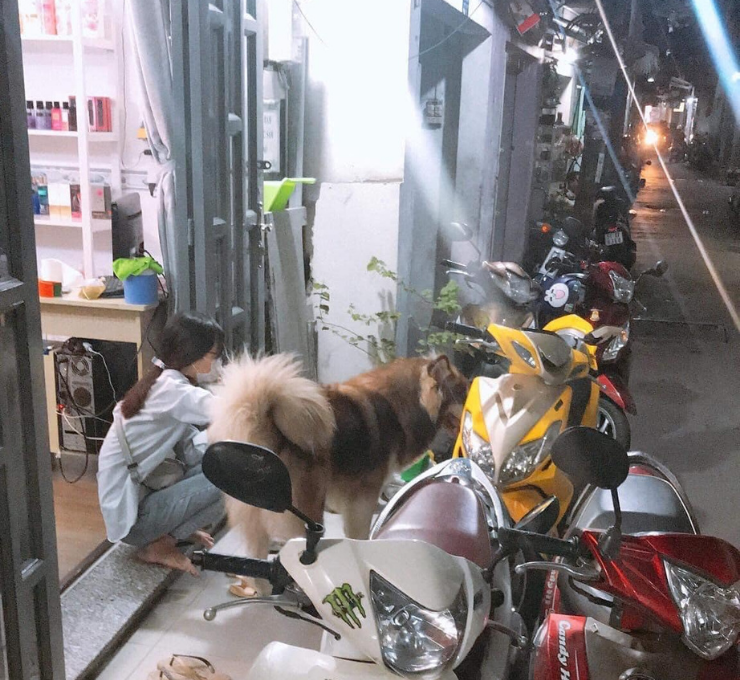 Bán nhà 3 tầng Quang Trung, P.10, GV nhà mới giá chỉ 2.98tỷ TL