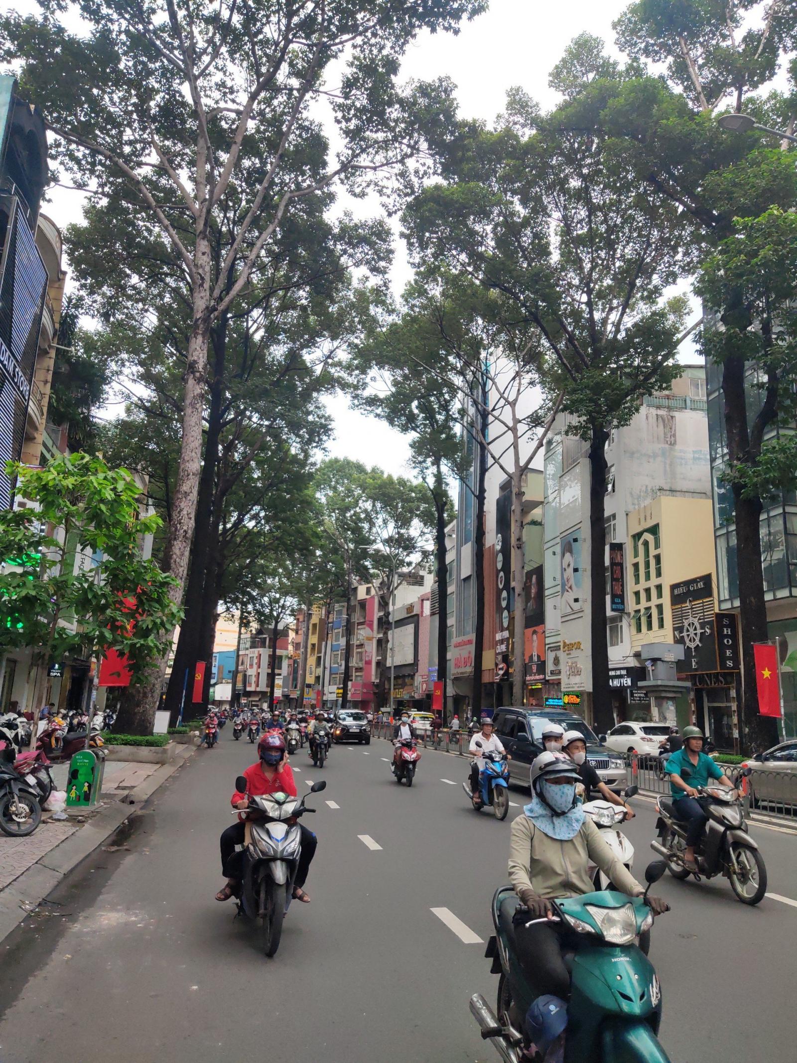 Bán gấp siêu biệt thự, có hồ bơi đường Trương Định, Q3, DT: 983m2, 179 tỷ