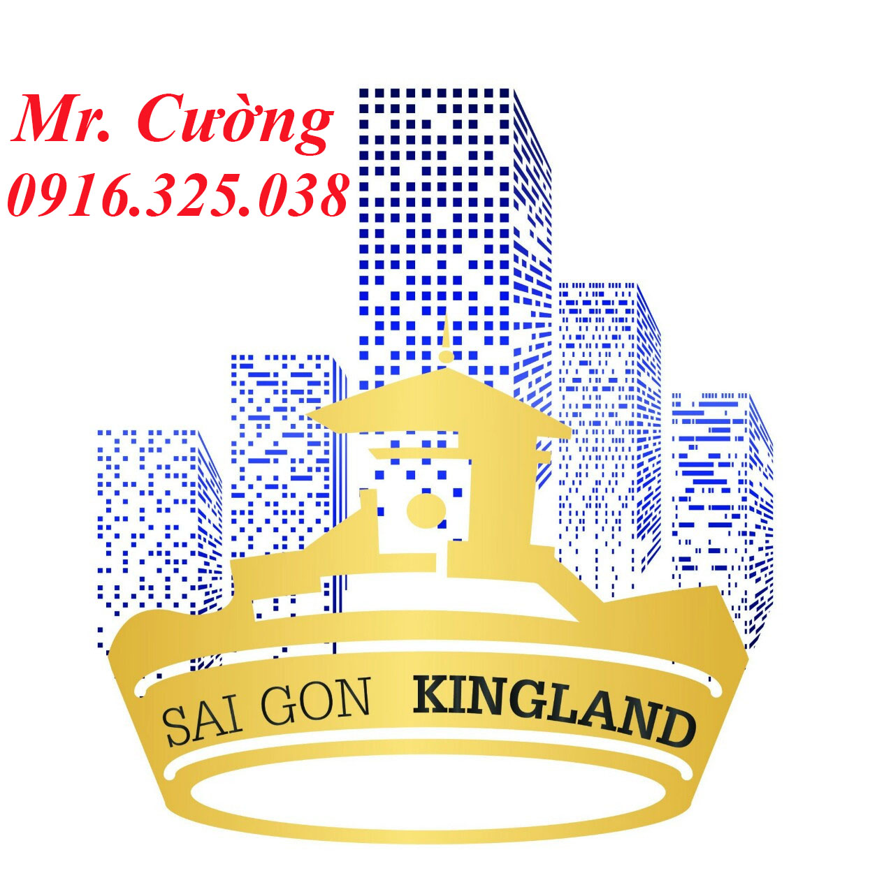 Tài sản cá nhân cần bán gấp Building Nguyễn Chí Thanh Q 5 (DT:10x30m, HĐ thuê 220tr) giá chỉ 85 tỷ
