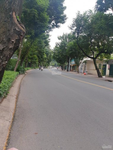 Bán Mặt Tiền Trần Quốc Thảo, DT 14*40m, 500 tr/m2