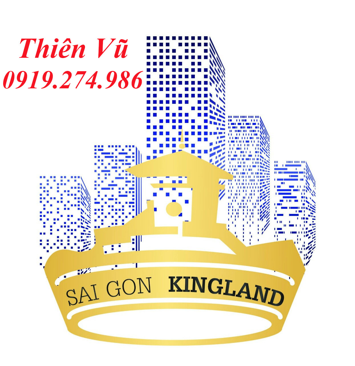 Bán nhà mặt tiền Nguyễn Tri Phương, P. 6, Q5 DT 5x10m 