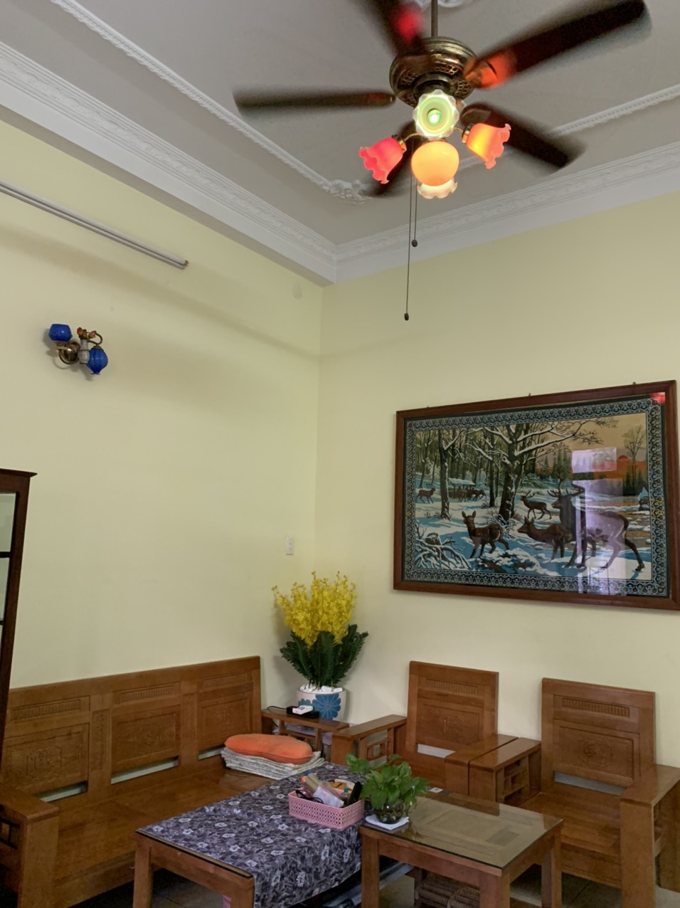 Bán nhà mặt tiền Nguyễn Đình Chiểu, Quận 3. (4.7x15m) 5 lầu, HĐT 90 tr/th giá giảm còn 30 tỷ TL