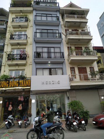 Kẹt tiền bán gấp MTKD đường Phan Sào Nam, P. 11, Tân Bình, 4 lầu nhà mới full nội thất