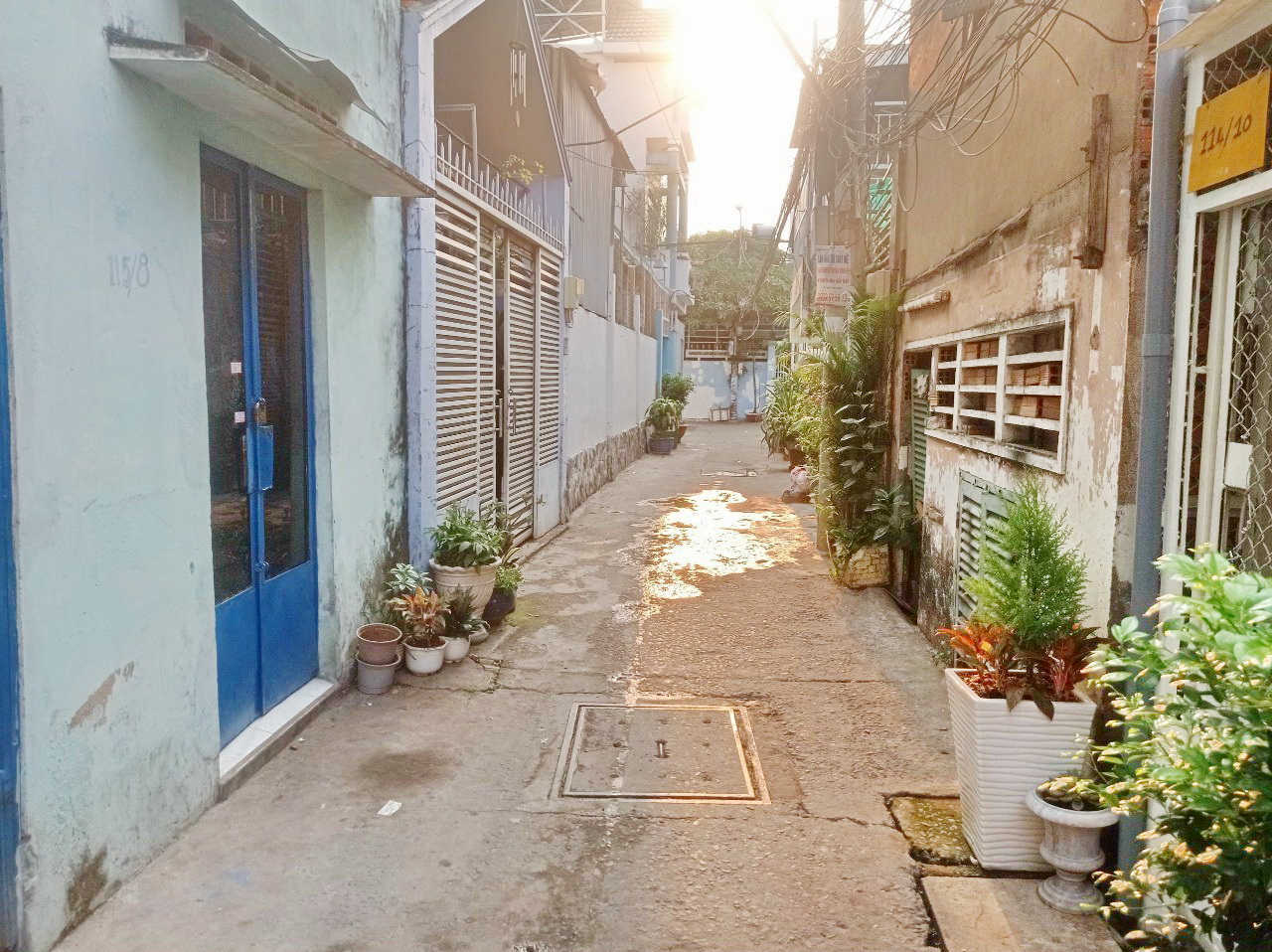 Bán dãy trọ hẻm 156 Huỳnh Tấn Phát Phường Tân Thuận Tây Quận 7.