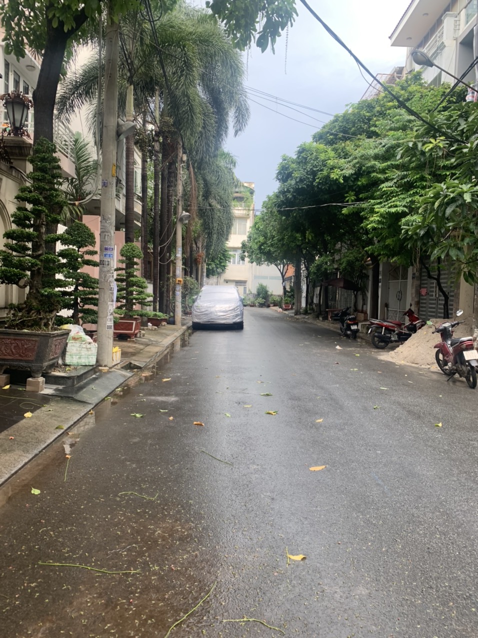 Nhà Mặt Tiền K300 khúc Nguyễn Minh Hoàng 4x17m sổ vuông, đường 10m xung quanh biệt thự
