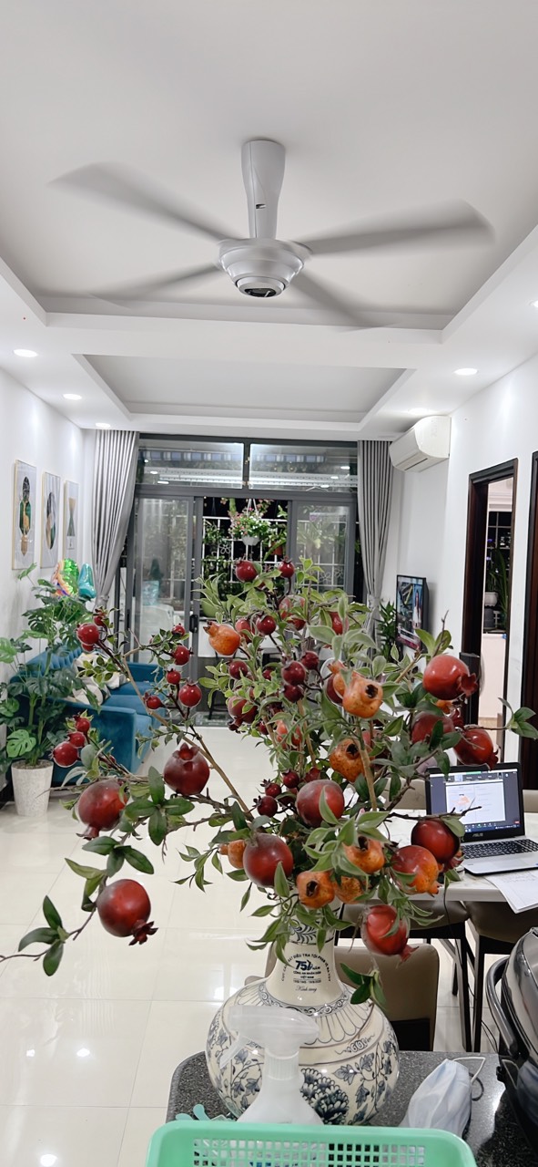 CHÍNH CHỦ CẦN BÁN CĂN HỘ 76 NGÔ TẤT TỐ, P19, BÌNH THẠNH, TP HCM