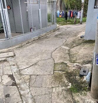 Cần bán nhà cấp 4 tại Huyện Bình Chánh, TP HCM