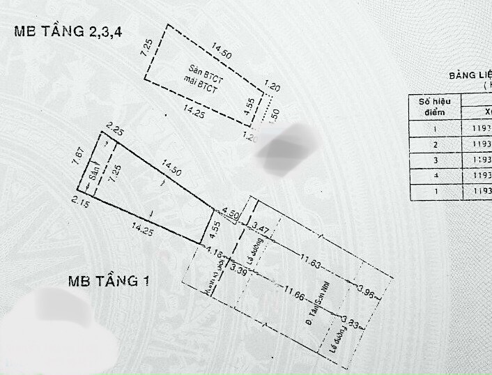 Mặt tiền kinh doanh Tân Sơn Nhì, 100 m2, Nhà 3 lầu, Giá 19.5 tỷ TL