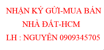 CHÍNH CHỦ BÁN MT LÊ MINH XUÂN 10 X 25 HĐT CAO Giá 44 Tỷ (Hoa Hồng MG)