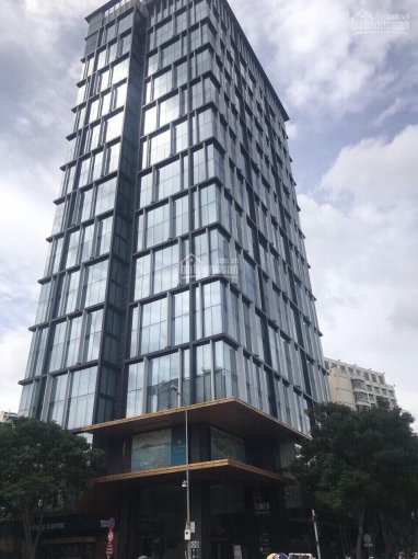 Tòa Building Trần Đình Xu Quận 1. Dt: 9.58 x 21.41m, nở hậu 11.25. Kết cấu: Hầm 9 tầng. Giá 175 tỷ