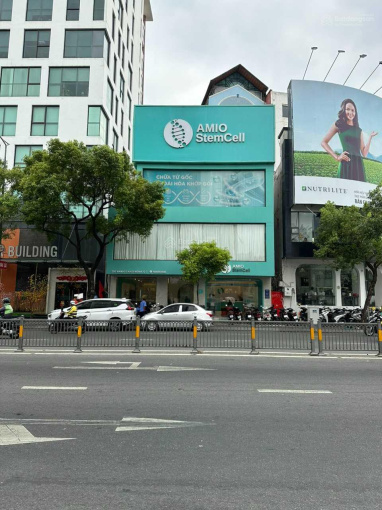 Hàng hiếm! Bán nhà 1 đời chủ 2MT Nguyễn Thái Học Q1, 8 x 22m, 3 lầu.