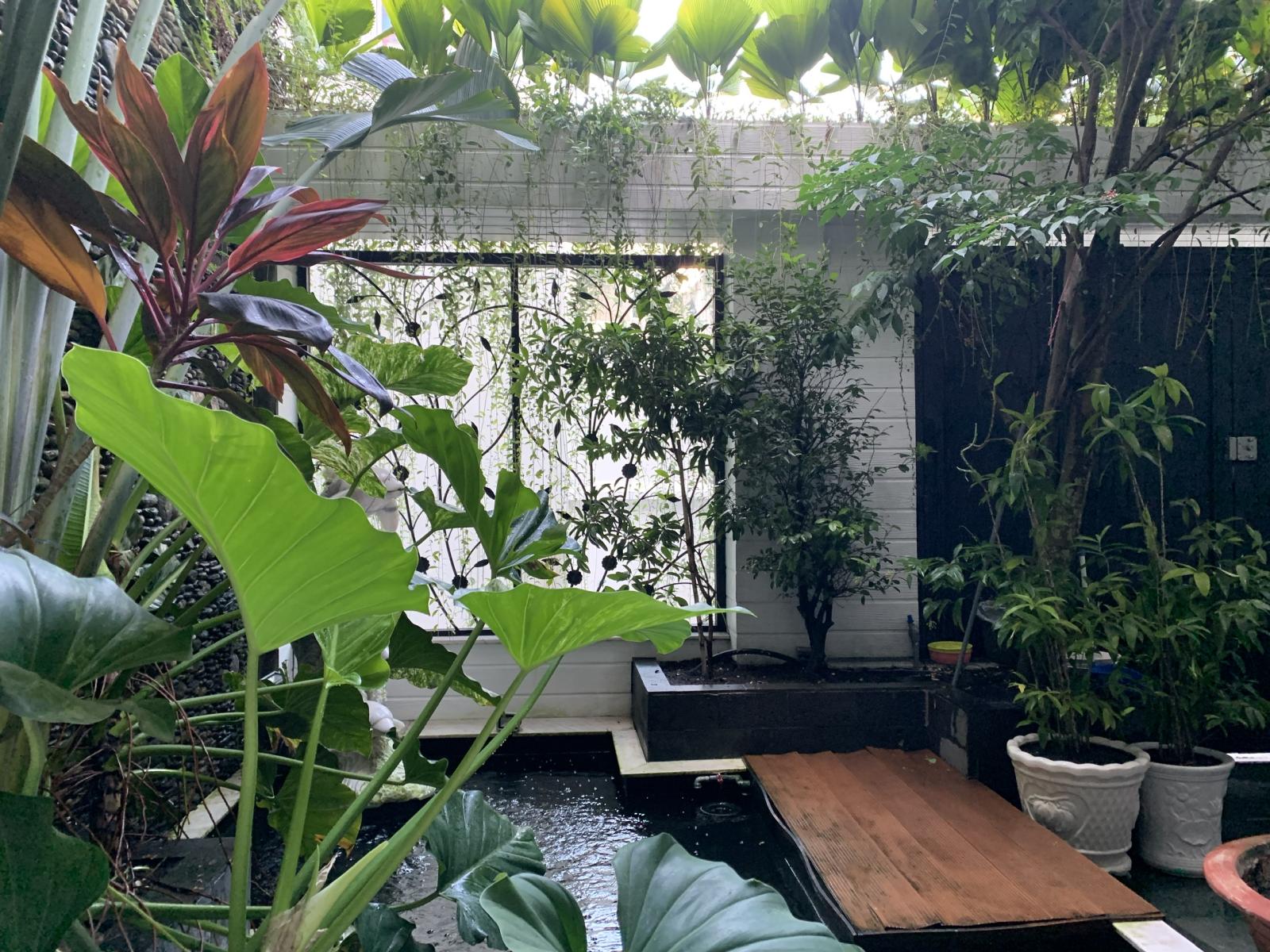 Bán Gấp biệt thự sân vườn đường Trần Quang Diệu, P.14 Q.3 (8,5x19m) 4 tầng, giá 21,5 tỷTL