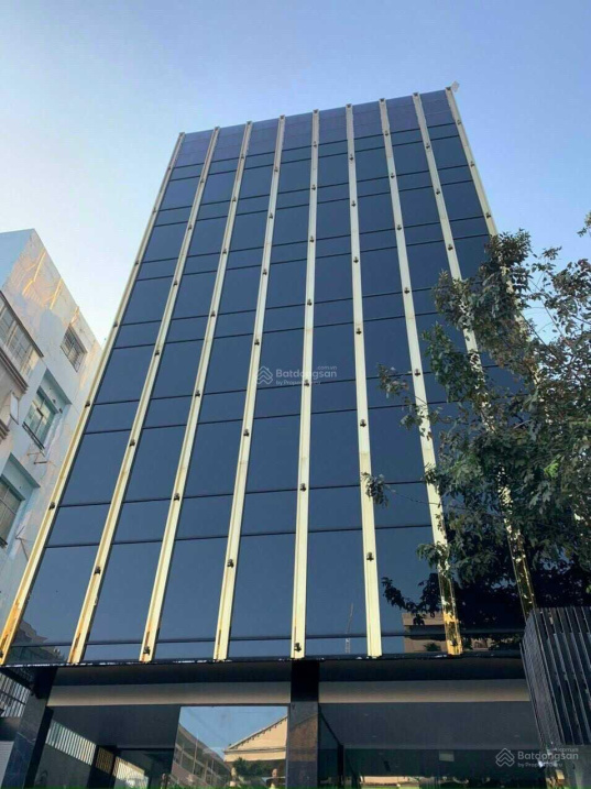biệt thự mặt tiền đường Nguyễn Đình Chính, DT 8.9x21.3, 3 tầng, giá 41 tỷ