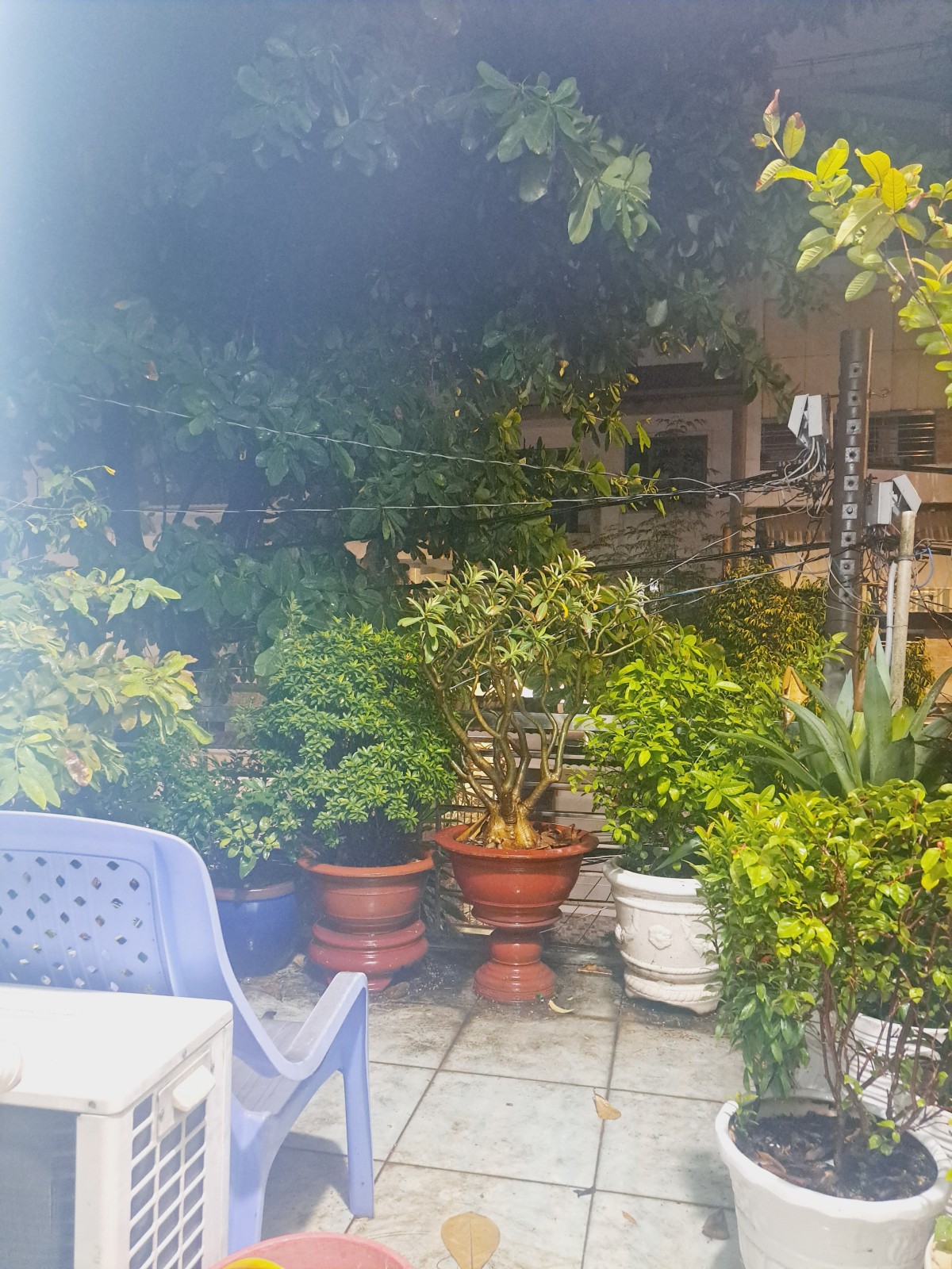 Bán Nhà MT khu họ Lê,  Tân Phú, 43m2, 4 Tầng, Nhỉnh 5 tỷ.