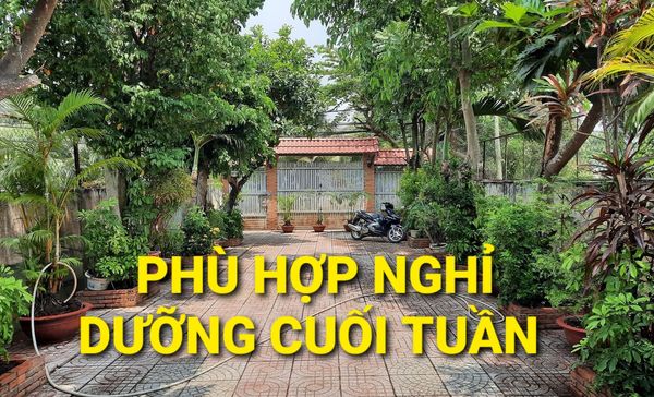 Bán Nhà Gỗ Cổ 420m2 Hà Duy Phiên Bình Mỹ Củ Chi TPHCM có 6 tỷ x