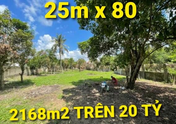 NGỘP - 2168m2 giá Trên 20 tỷ QL22 KCN Tân Phú Trung Củ Chi TPHCM