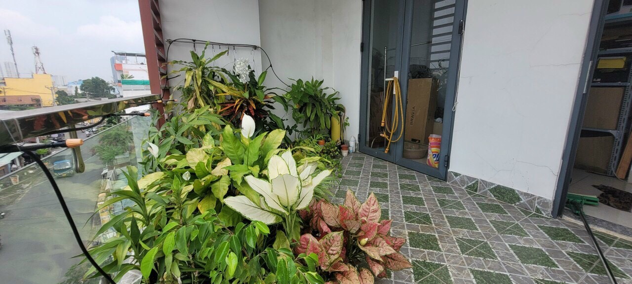 Bán nhà mặt phố tại Phường Linh Trung, Thủ Đức, Tp.HCM diện tích 59m2  giá 7 Tỷ