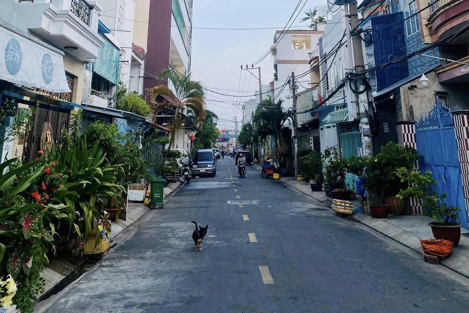 Giảm giá 1 tỷ - Cần bán nhanh nhà HXH đường Bàu Cát, P.14, Tân Bình, DT:4x13m giá chỉ còn 6 tỷ 6 TL nhẹ.