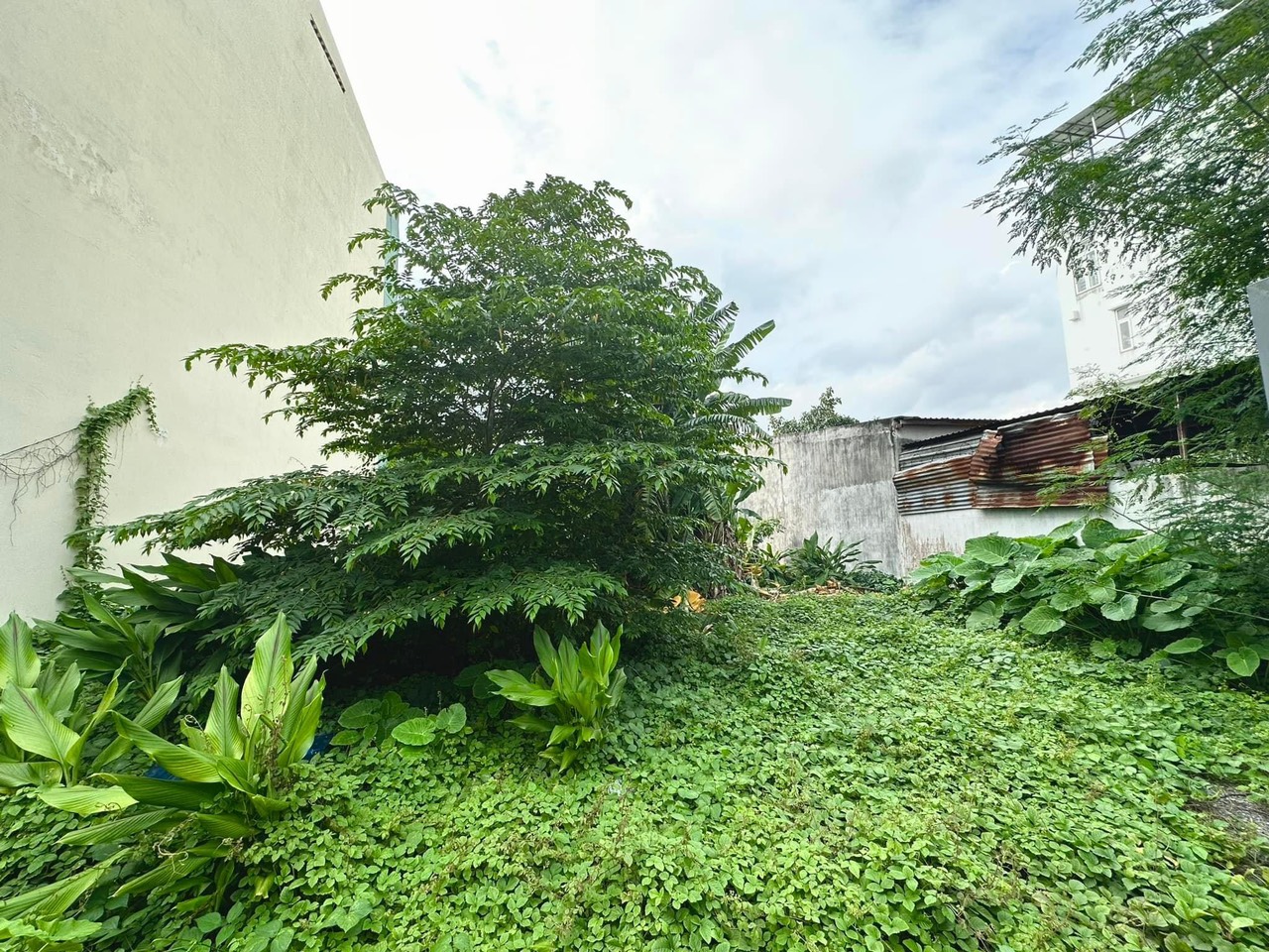 CHÍNH CHỦI ĐẤT TRUNG TÂM THÀNH PHỐ THỦ ĐỨC, MẠT TIỀN ĐƯỜNG SỐ 12 PHƯỜNG TRƯỜNG THỌ .