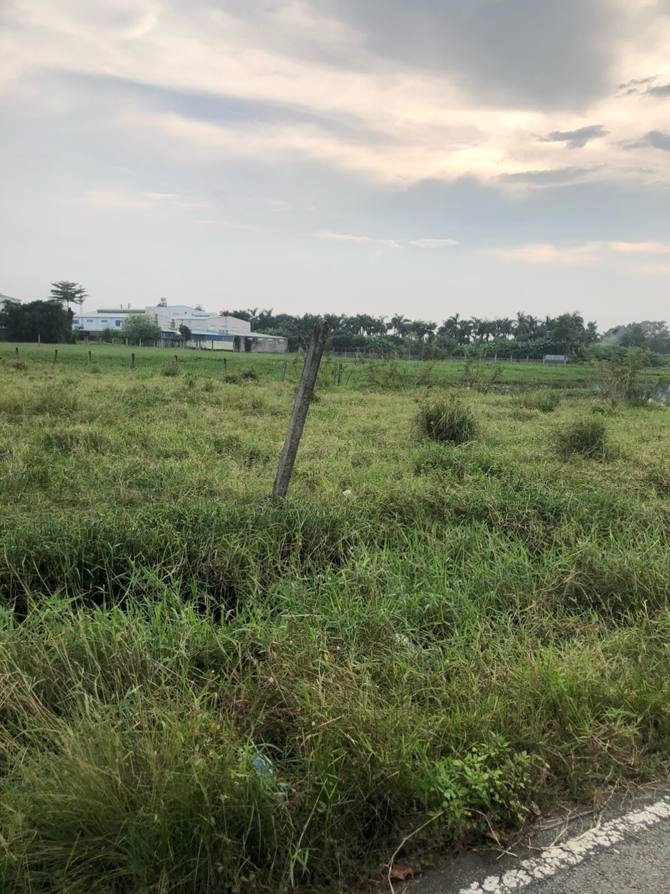 Cần bán đất ngang 99m MT Đường Nguyễn Thị Đành Xã Xuân Thới Sơn tổng DT: 9379.5m2 giá chỉ 155 tỷ