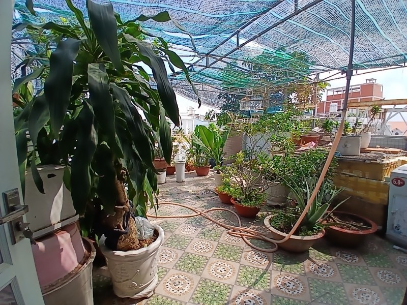 Bán nhà 3 tầng đường Trần Thị Điệu, Phường  Phước Long B, Q9, Thủ Đức, TP HCM. DT - 95m2, 3 tầng.