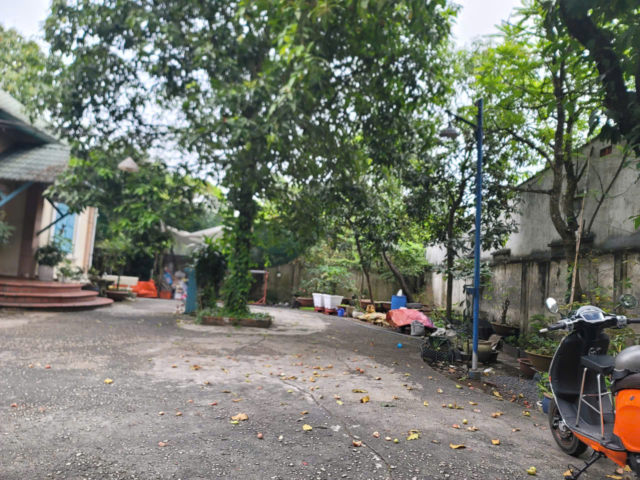 BIỆT THỰ 800m² TRẦN VĂN MƯỜI – GIÁ NGỘP CHỈ 10,5 TỶ – GIẢM SÂU