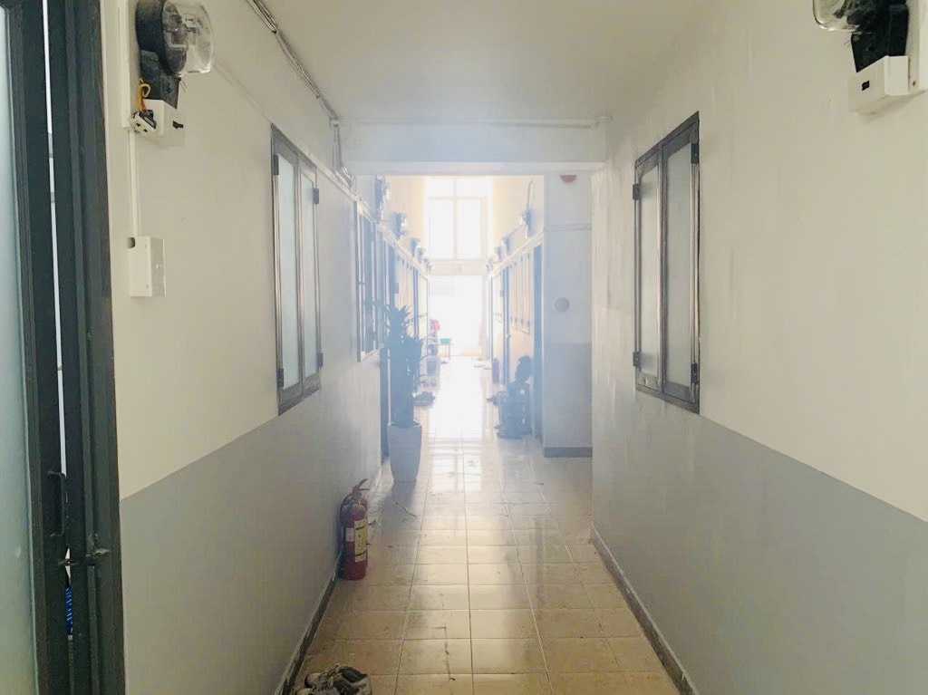 CHDV Diện Tích Khủng 255M2 HXH, 6 Tầng 50Phòng. Quang Trung, Gò Vấp. Chỉ👉 28 Tỷ.