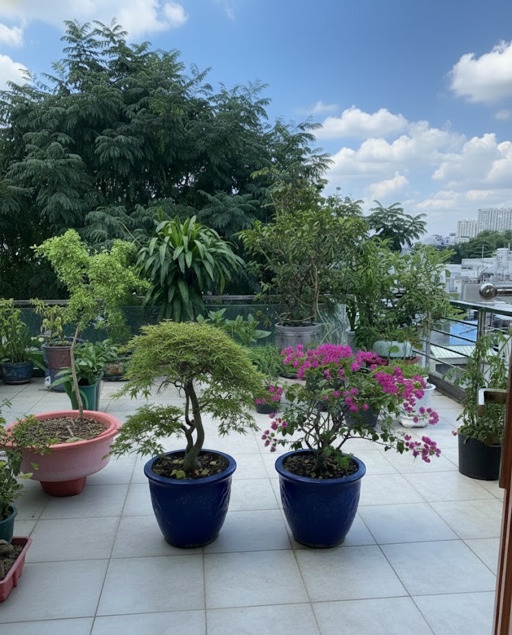 BÁN NHÀ ĐẸP MT TẠ QUANG BỬU– 79.4M² – 4 TẦNG – CÔNG VIÊN TRƯỚC NHÀ – 12.5 TỶ