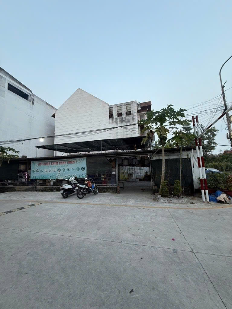 Quận 7, Hiếm, Căn Góc 10 x21m, Chỉ 29 Tỷ, Đường Lê Văn Lương, P Tân Hưng, Bán Gấp