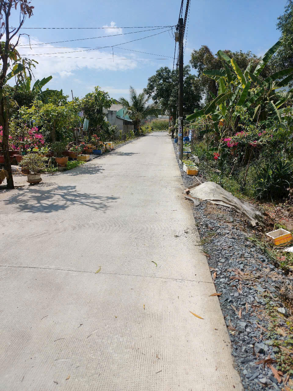 Giá Chỉ 11.5 Tỷ Có Ngay Lô Đất DT 1038m2 Sát KDC An Hạ - Bình Chánh