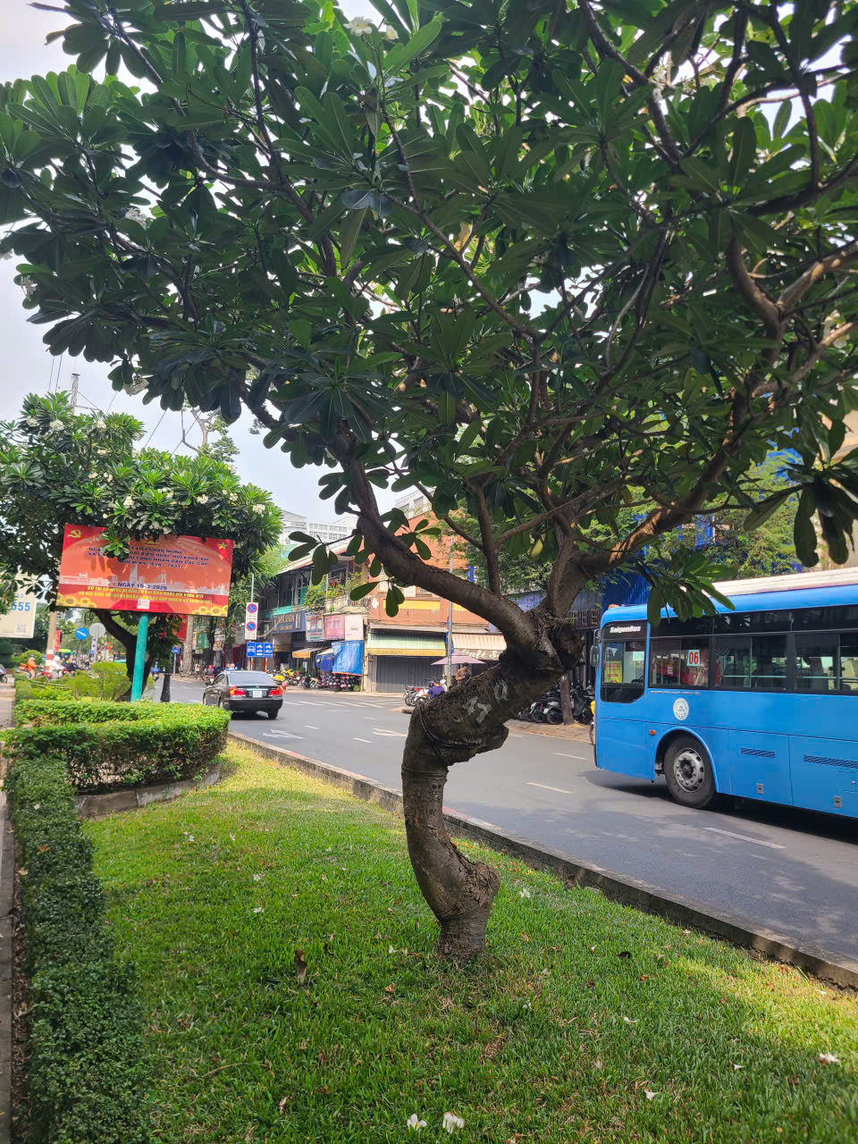 Bán Nhà 1 Đời Chủ Mặt Tiền  313 Hồng Bàng Ngay BV Đại Học Y Dược P.11 .Quận 5