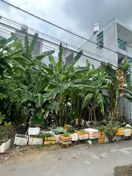 BÁN LÔ ĐẤT TRƯỜNG LƯU – LONG TRƯỜNG, Q9