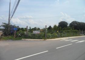 Đất thổ cư gần BV Nhi Đồng 2 Chợ Rẫy 2 giá 260 triệu/nền sổ hồng riêng 1088405