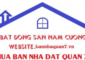 Bán nhà đường 10 phường tân quy dt: 8x25M trệt kinh doanh sầm uất .0938286679 1155620