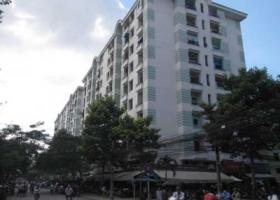 Căn hộ chung cư C2 Lý Thường Kiệt TP.HCM 1175262