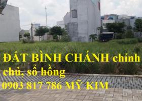 Bán đất bình chánh chính chủ - sổ hồng  500m2 đất thổ cư, đường Nguyễn Hữu Trí,  giá rẻ nhất 1210610