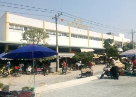 Bán đất Bình Chánh Quốc lộ 50 - đối diện chợ Phú Lạc và trường tiểu học Phong Phú 1247158
