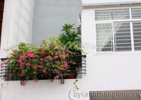 Bán nhà phố giá rẻ mặt tiền đường Trần Quang Khải. DT: 8.1mx21m giá 33 tỷ 1621687