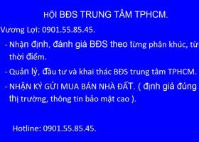 bán nhà MT đường Huỳnh Khương Ninh Q.1. 8,5x19m, trệt, lầu. giá 28 tỷ 2856591