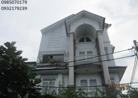 Bán biệt thự đường Dương Quảng Hàm, 10x25m, phường 1, Gò Vấp 3031849