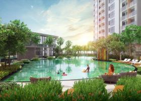 Block B dự án căn hộ Jamila Khang Điền có nên đầu tư? 3038273