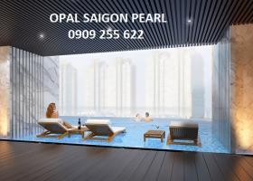 Cần tiền bán lỗ căn hộ 2PN Saigon Pearl, tầng cao, đến 200 triệu 3722720