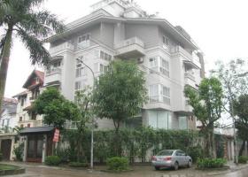 Bán nhà khu vip đường Hoàng Việt, phường 4, Q. Tân Bình, DT: 13m x 22m, 2 lầu, giá 33 tỷ 4000341