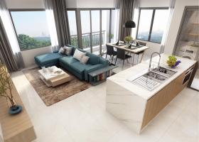 Apartment 5* Facing Sala Dai Quang Minh – Pay 30% (35,000$)  Received Apartment Immediately! 4370520