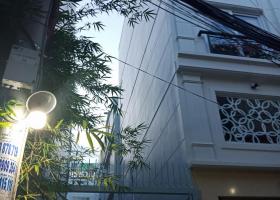 Bán nhà mới 100% HXH quay đầu DT: 4.2x11m Giá:7T450  đường hẻm lớn Nguyễn Văn Đậu 4660773